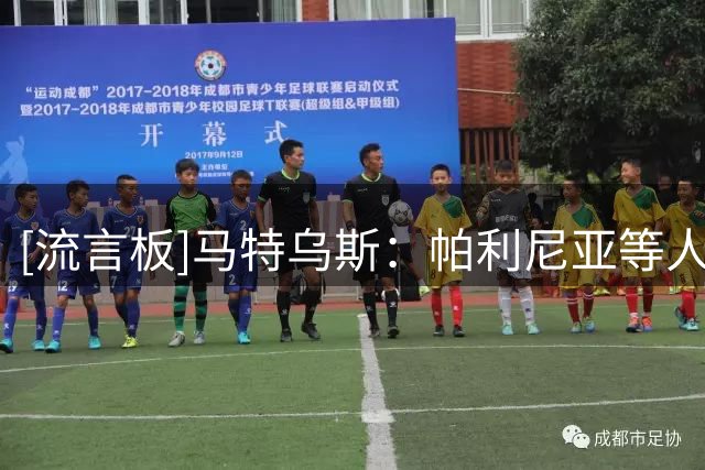 [流言板]马特乌斯：帕利尼亚等人仍有希望留队，可视格雷茨卡为榜样